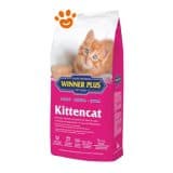 Winner Plus Cat Kittencat