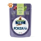 Forza10 Cat Mantenimento Adult 1-6 Quaglia in Patè