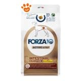 Forza10 Dog Active Intestinal Colon Fase 2 Agnello e Sorgo
