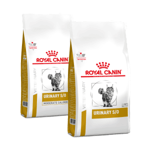 Cibo secco Royal Canin Urinary S/O per gatti
