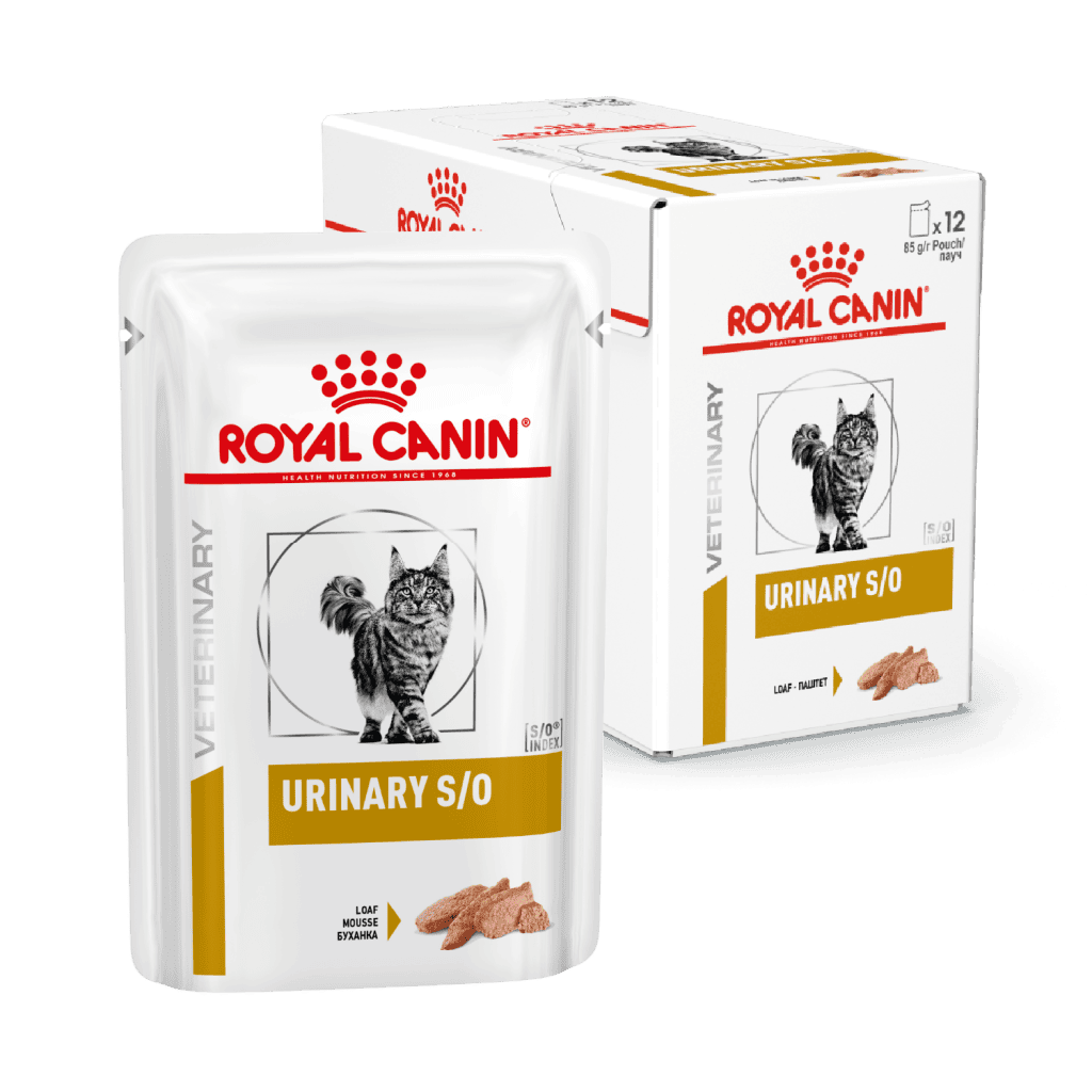 Cibo umido Royal Canin gatto Urinary S/O