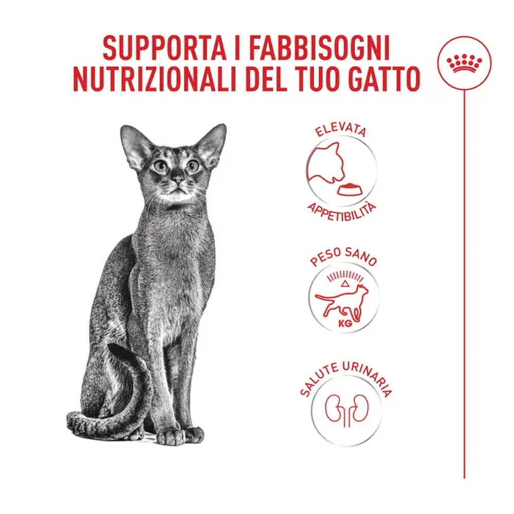 royal-canin-cat-feline-health-nutrition-fussy-exigent-1