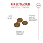 royal-canin-cat-feline-health-nutrition-fussy-exigent-2