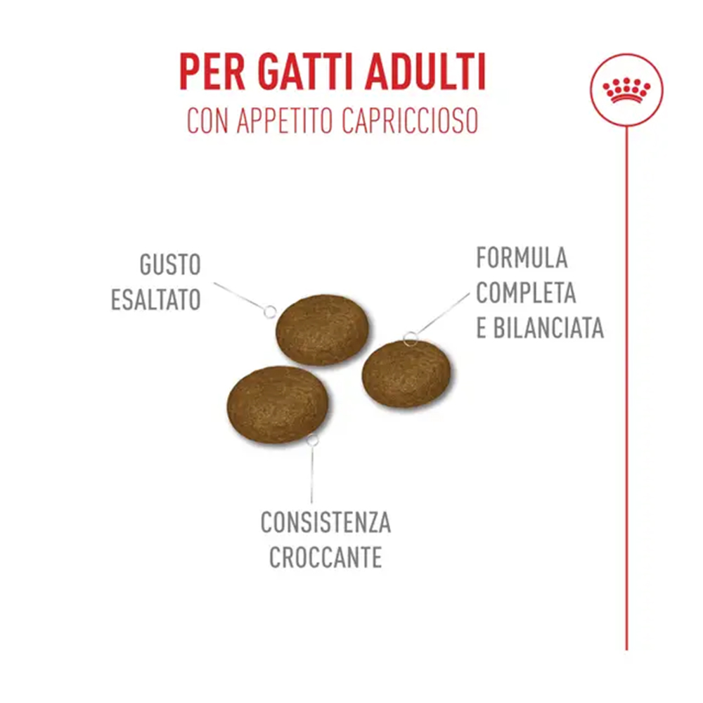 royal-canin-cat-feline-health-nutrition-fussy-exigent-2