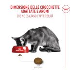 royal-canin-cat-feline-health-nutrition-fussy-exigent-3