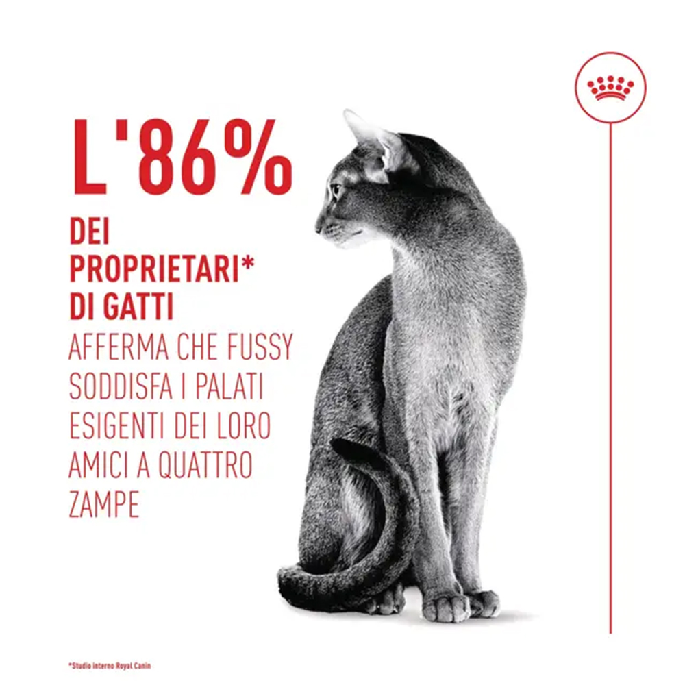 royal-canin-cat-feline-health-nutrition-fussy-exigent-4