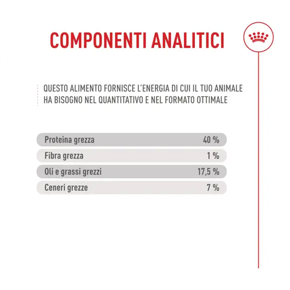 royal-canin-cat-feline-health-nutrition-fussy-exigent-6