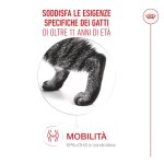 royal-canin-cat-feline-health-nutrition-senior-ageing-1