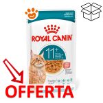 royal-canin-cat-feline-health-nutrition-senior-ageing-11+gravy-mp