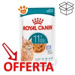 royal-canin-cat-feline-health-nutrition-senior-ageing-11+jelly-mp