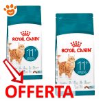 royal-canin-cat-feline-health-nutrition-senior-ageing-11+mp