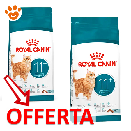 royal-canin-cat-feline-health-nutrition-senior-ageing-11+mp