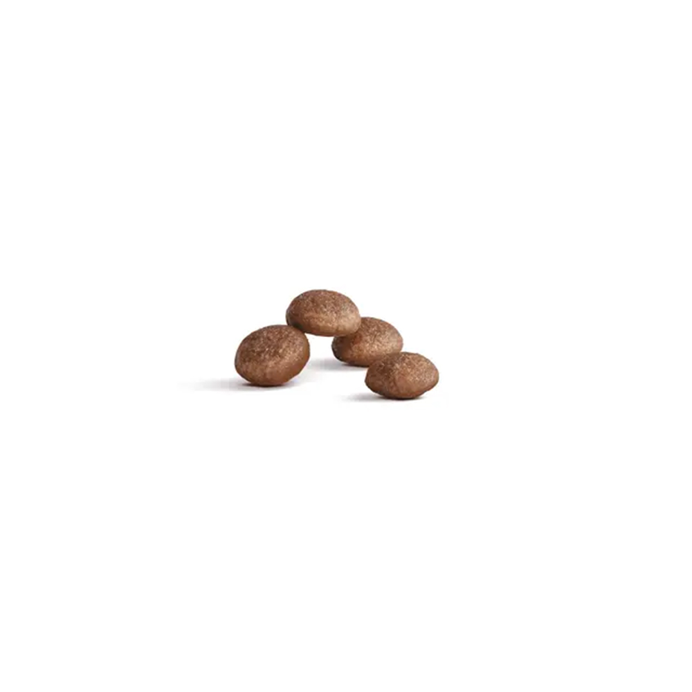 royal-canin-cat-feline-health-nutrition-senior-ageing-11+sterilised-1