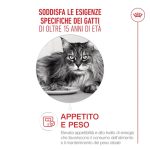 royal-canin-cat-feline-health-nutrition-senior-ageing-15+1
