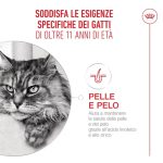 royal-canin-cat-feline-health-nutrition-senior-ageing-15+2