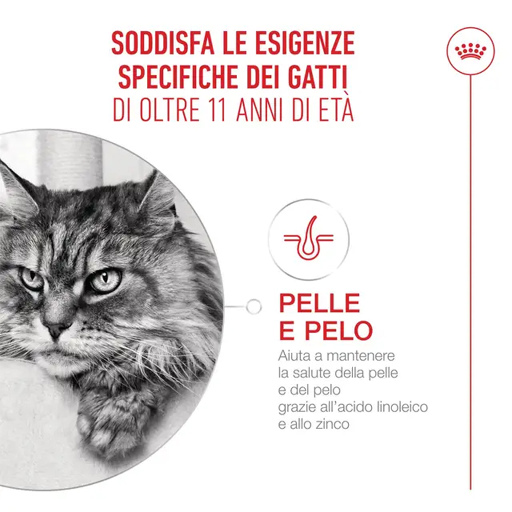 royal-canin-cat-feline-health-nutrition-senior-ageing-15+2