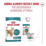 royal-canin-cat-feline-health-nutrition-senior-ageing-15+4