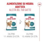 royal-canin-cat-feline-health-nutrition-senior-ageing-3
