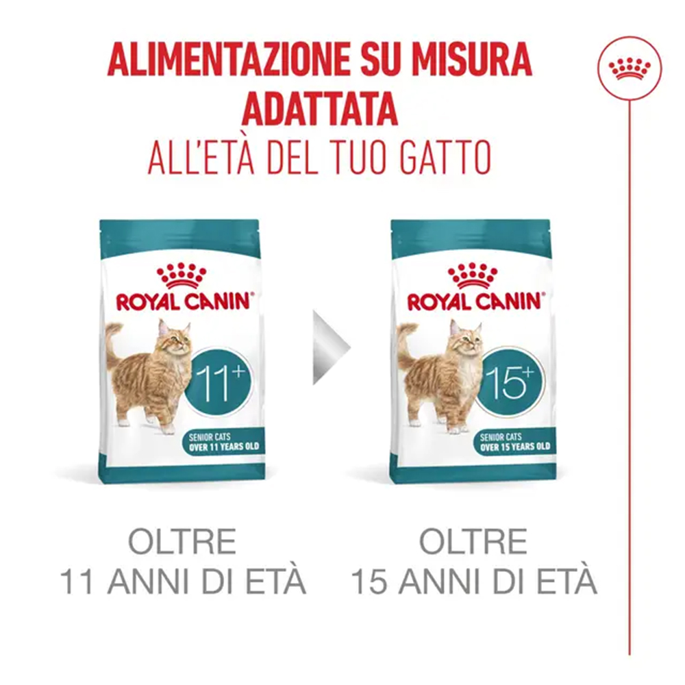 royal-canin-cat-feline-health-nutrition-senior-ageing-3