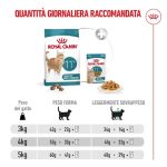 royal-canin-cat-feline-health-nutrition-senior-ageing-4