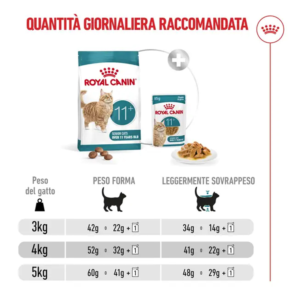 royal-canin-cat-feline-health-nutrition-senior-ageing-4