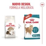 royal-canin-cat-feline-health-nutrition-senior-ageing-5