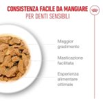 royal-canin-cat-feline-health-nutrition-senior-ageing-6