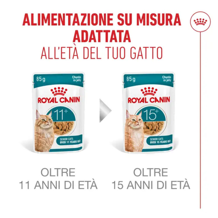royal-canin-cat-feline-health-nutrition-senior-ageing-7