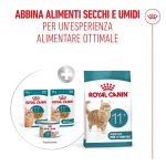 royal-canin-cat-feline-health-nutrition-senior-ageing-8