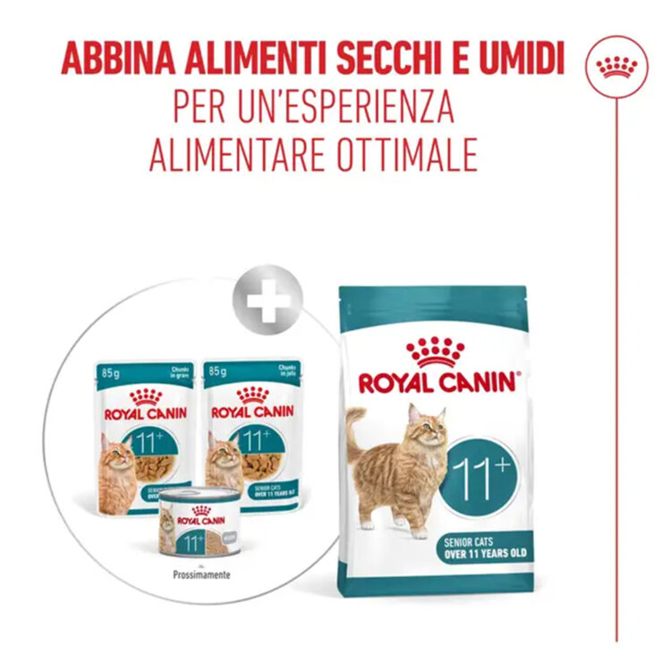 royal-canin-cat-feline-health-nutrition-senior-ageing-8