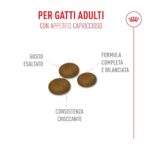 Crocchette per gatti adulti dal gusto esaltato