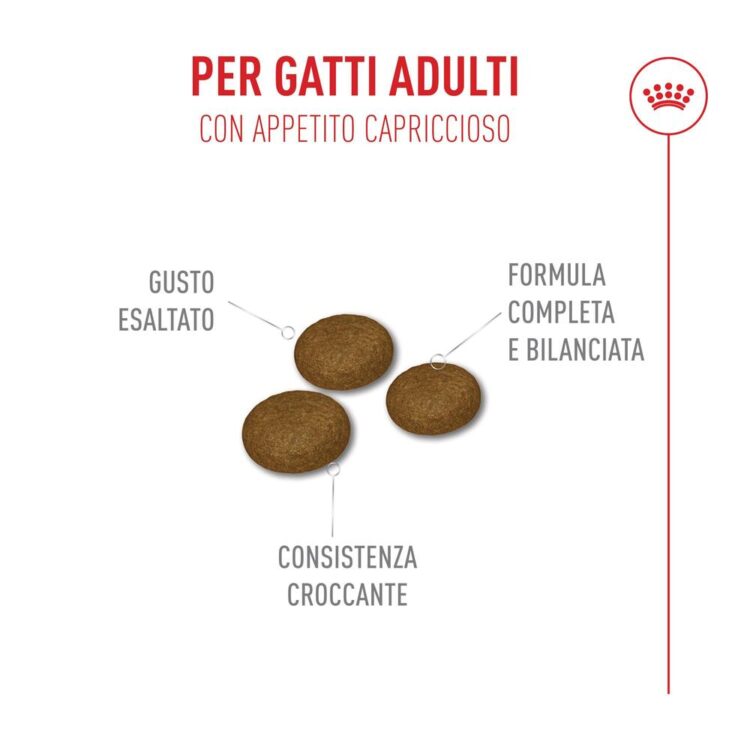 Crocchette per gatti adulti dal gusto esaltato