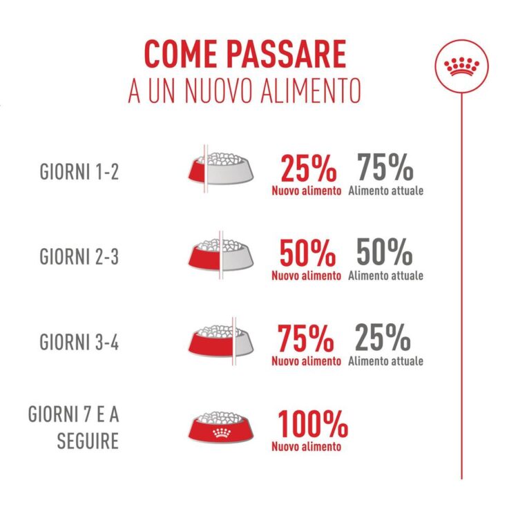 Schema per introdurre gradualmente un nuovo alimento per animali