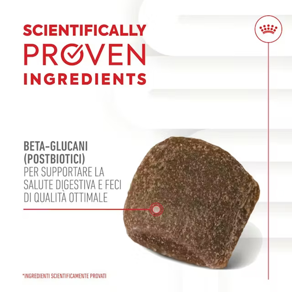 royal-canin-dog-puppy-immunity&digestion-adult-supplements-1