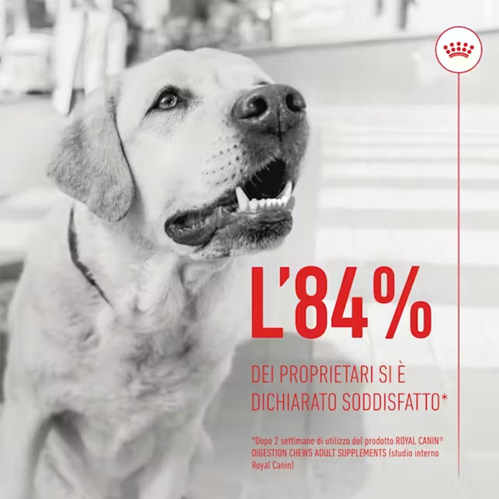 royal-canin-dog-puppy-immunity&digestion-adult-supplements-2