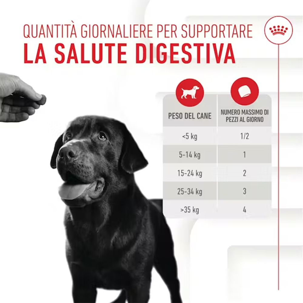 royal-canin-dog-puppy-immunity&digestion-adult-supplements-3