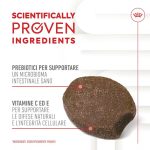 royal-canin-dog-puppy-immunity&digestion-chews-supplements-1