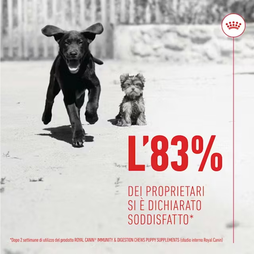 royal-canin-dog-puppy-immunity&digestion-chews-supplements-2