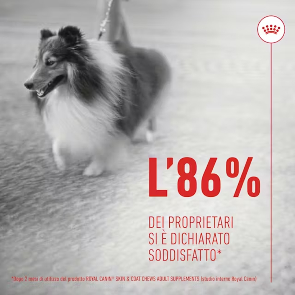 royal-canin-dog-supplement-skin-&-coat-adult-snack-per-cani-3