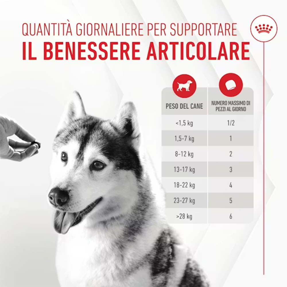 royal-canind-dog-supplement-joint-&-ageing-adult-snack-per-cani-3