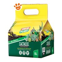 Vigorplant Cactacee Balletta