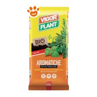 Vigorplant Piante Aromatiche