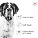 Royal-Canin-SHN-Dog-Giant-Adult-1
