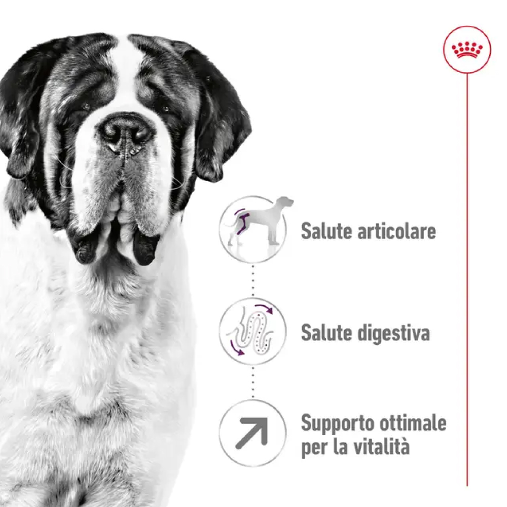 Royal-Canin-SHN-Dog-Giant-Adult-1