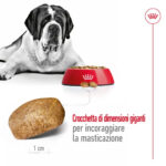 Royal-Canin-SHN-Dog-Giant-Adult-2