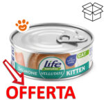 Offerta cibo umido al salmone per gattini