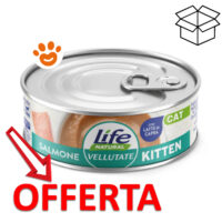 Offerta cibo umido al salmone per gattini