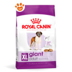 rc-shn-dog-xl-giant