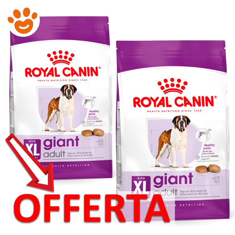 rc-shn-dog-xl-giant-mp