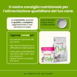 almo-nature-dog-daily-grain-free-tetra-recart-mousse-con-maiale-gallery-2